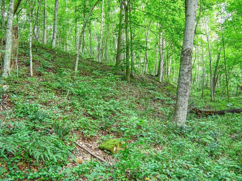 0 East Fork Pond Run Rd , Stout, OH 45684 Photo 12