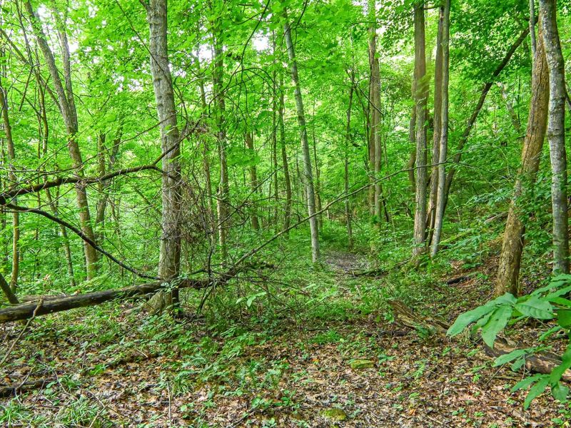 0 East Fork Pond Run Rd , Stout, OH 45684 Photo 14