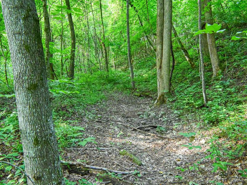 0 East Fork Pond Run Rd , Stout, OH 45684 Photo 15