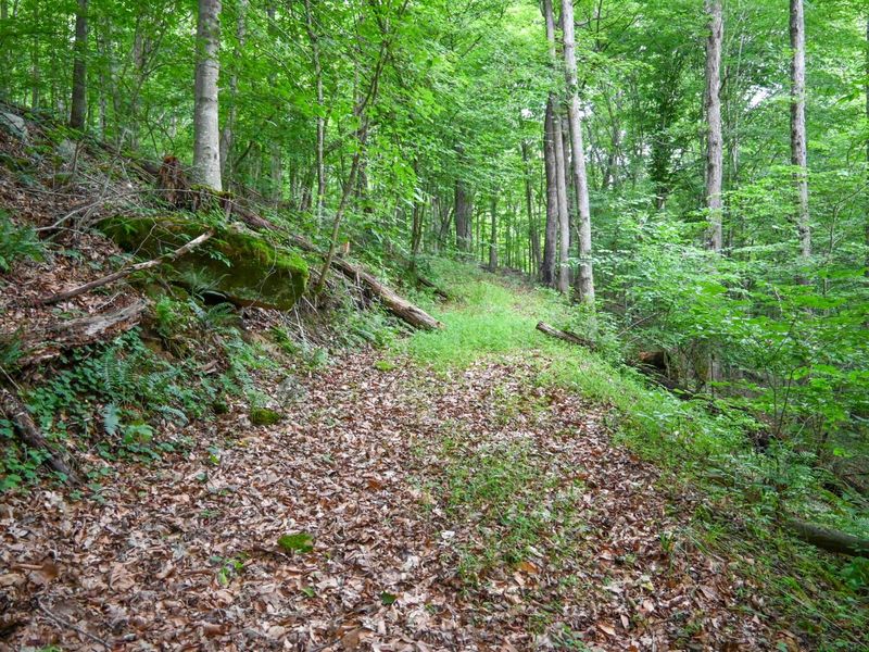 0 East Fork Pond Run Rd , Stout, OH 45684 Photo 6