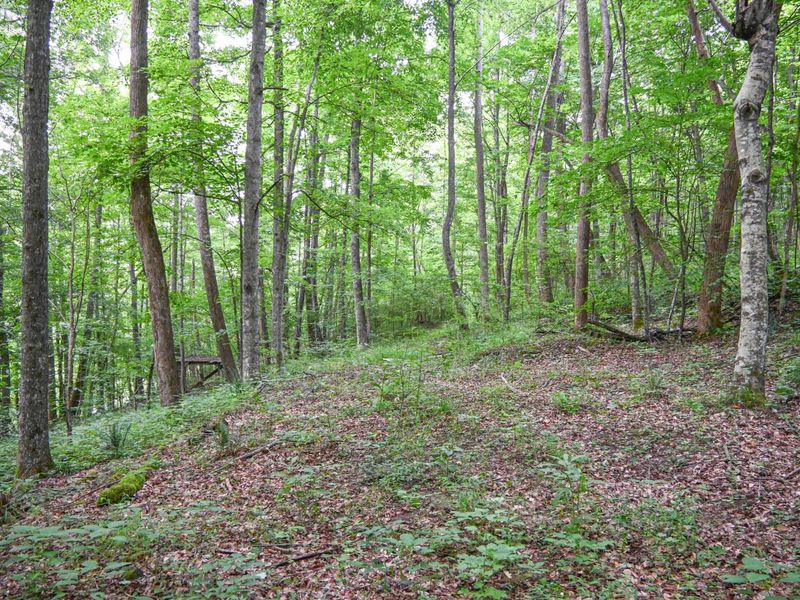 0 East Fork Pond Run Rd , Stout, OH 45684 Photo 7