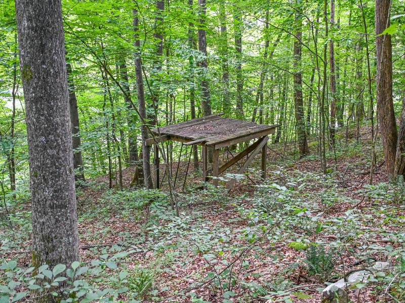 0 East Fork Pond Run Rd , Stout, OH 45684 Photo 8