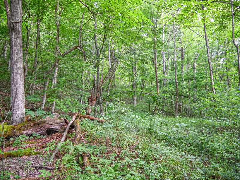 0 East Fork Pond Run Rd , Stout, OH 45684 Photo 9