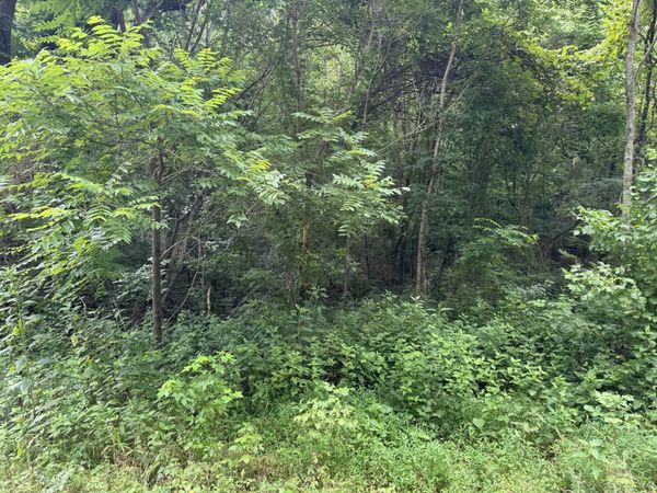 0 Denton Rd, Unit 8, Linden, TN 37096