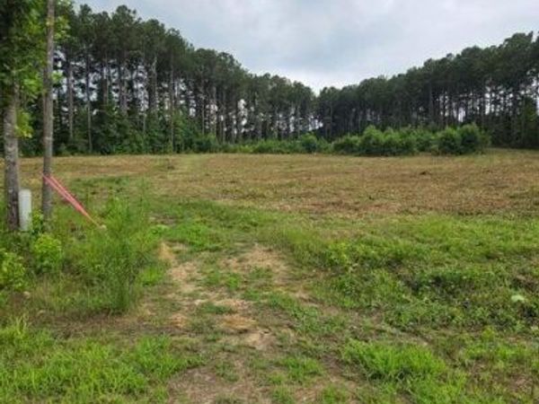 Lot 51 Roseheath Court, Bailey, NC 27807