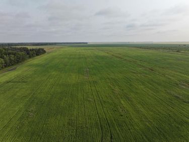 390th 390th st NW , Stephen, MN 56757