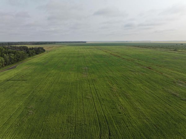 390th 390th st NW , Stephen, MN 56757