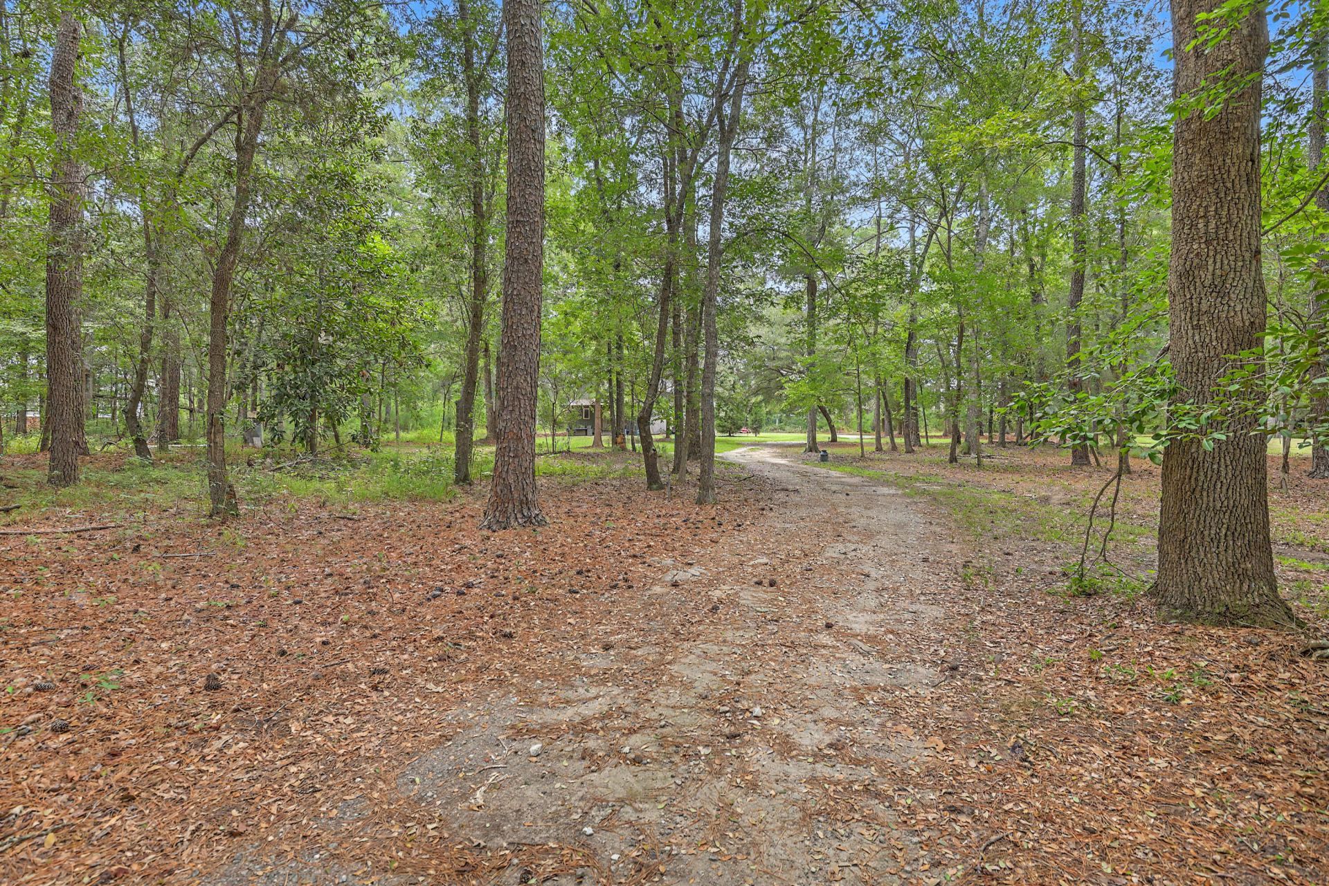 140 Old Plantation Lane Photo 87