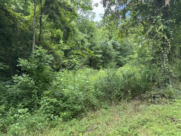 0 Denton Rd , Unit 10, Linden, TN 37096