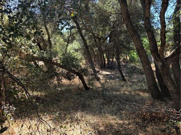 13692 Fair Oak, Clearlake, CA 95424