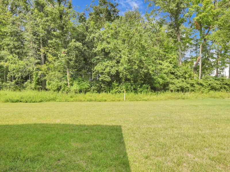 880 Buchloe Drive, Marysville, OH 43040 Photo 49