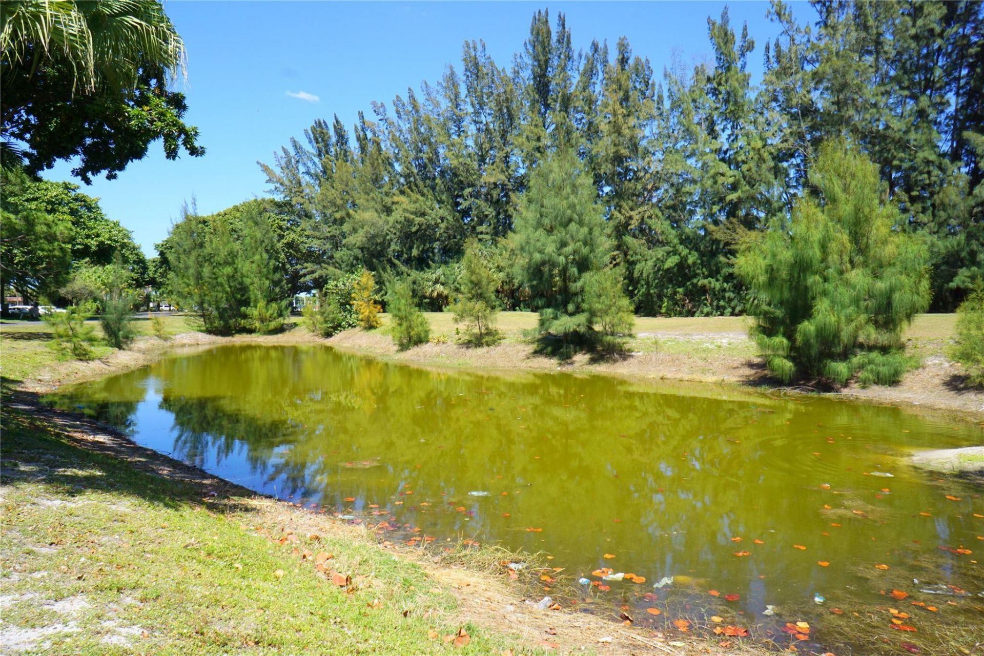 2600 S Course Drive, Unit 410, Pompano Beach, FL 33069 Photo