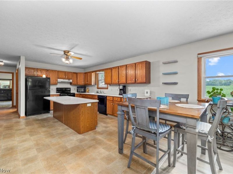 367 Township Road 1500 Road, Jeromesville, OH 44840 Photo 11