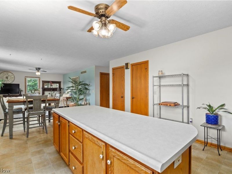 367 Township Road 1500 Road, Jeromesville, OH 44840 Photo 16