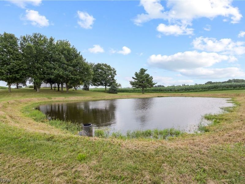 367 Township Road 1500 Road, Jeromesville, OH 44840 Photo 46