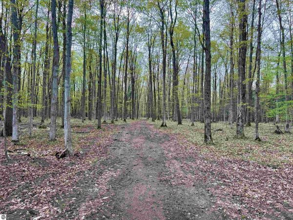 6639 Fall Road, Grawn, MI 49637