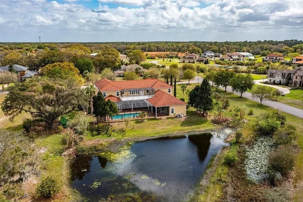 19402 Jacobs River Run, Lutz, FL 33559 Photo