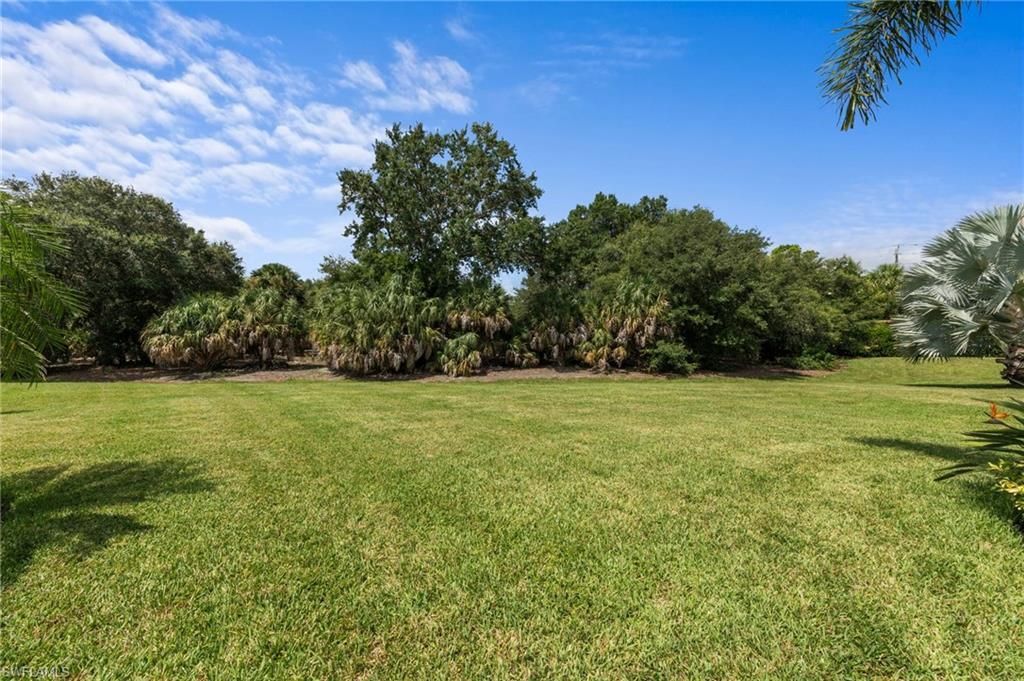 21266 Estero Preserve Run , Estero, FL 33928 Photo