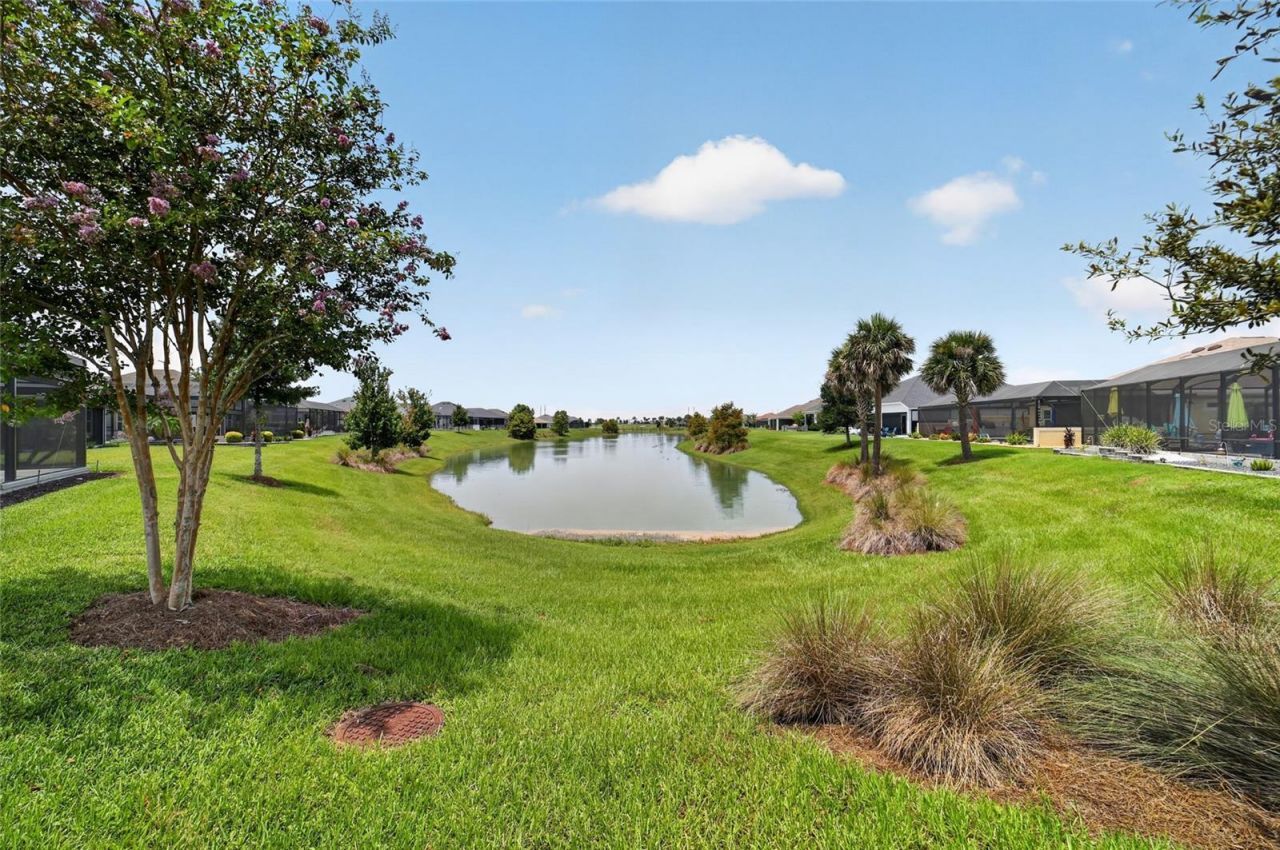 6172 Danielson Loop, The Villages, FL 32163 Photo