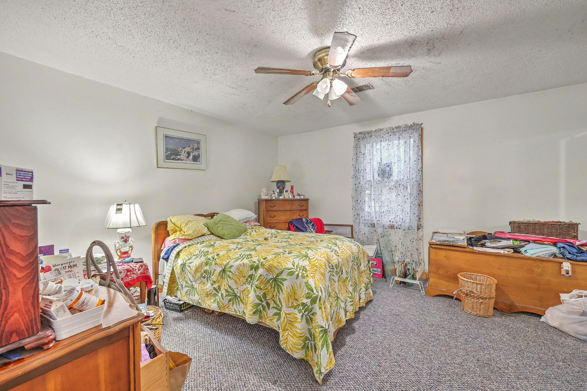 1011 Leonard Drive Photo 15