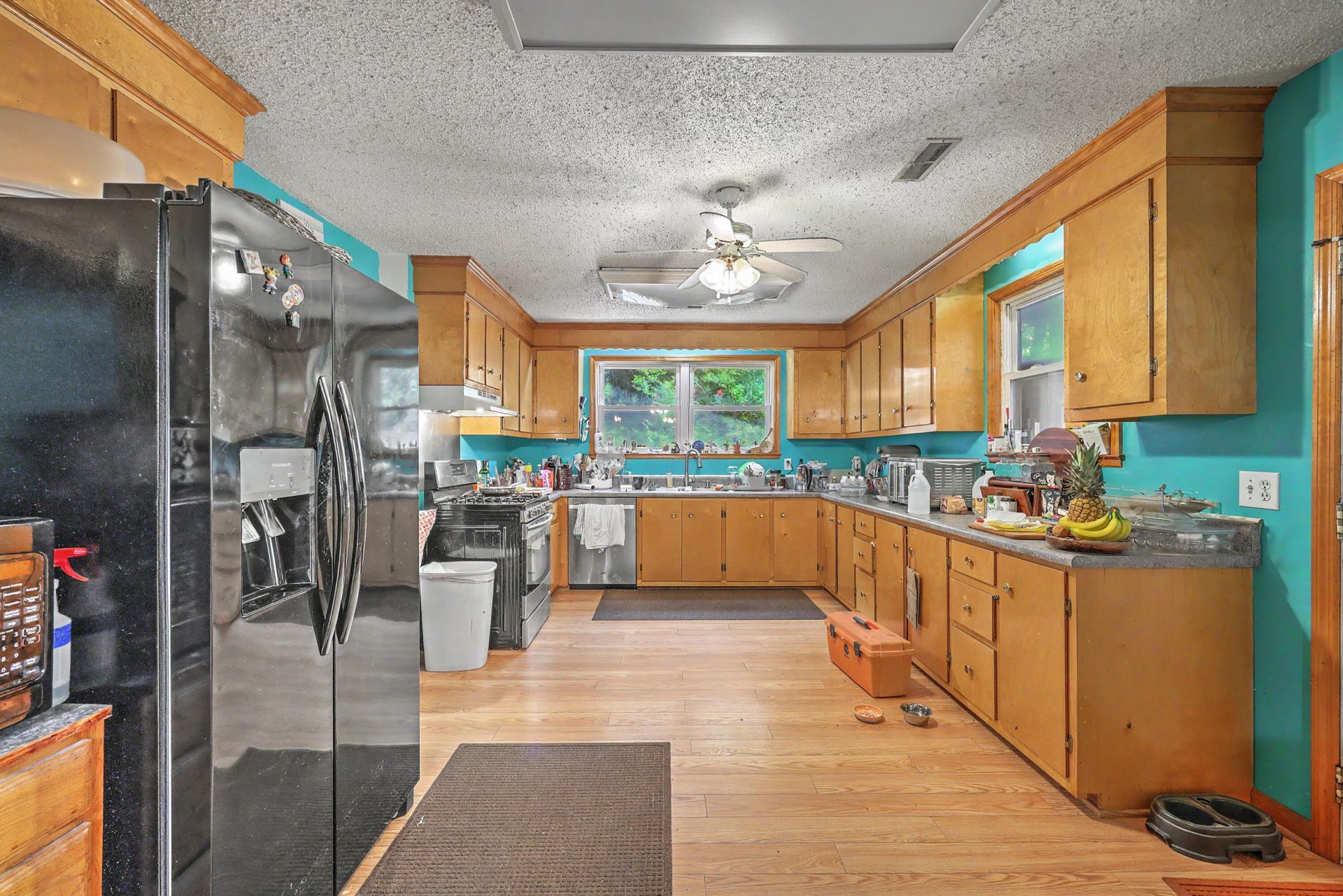 1011 Leonard Drive Photo 9