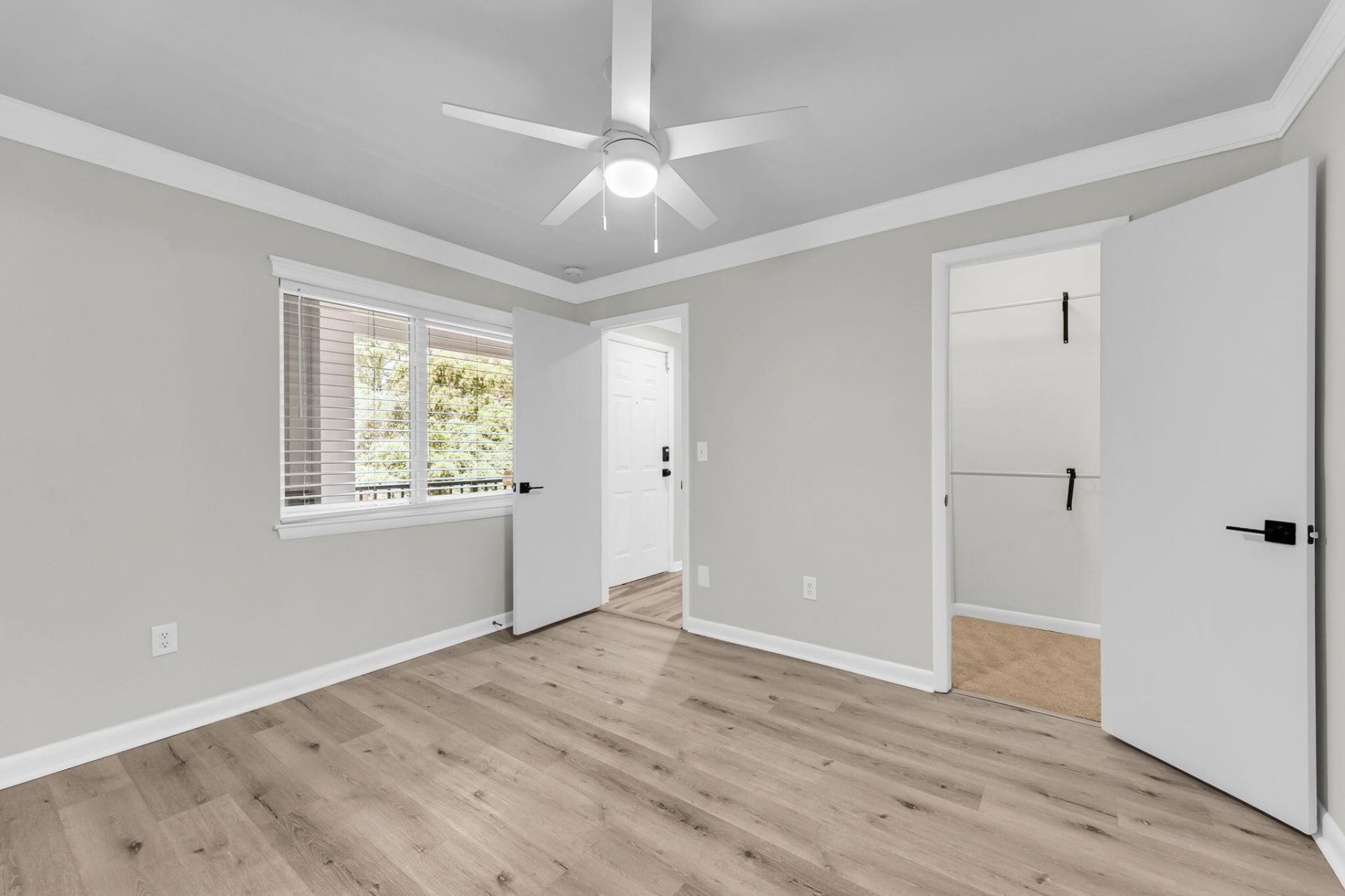 266 Alexandra Photo 4