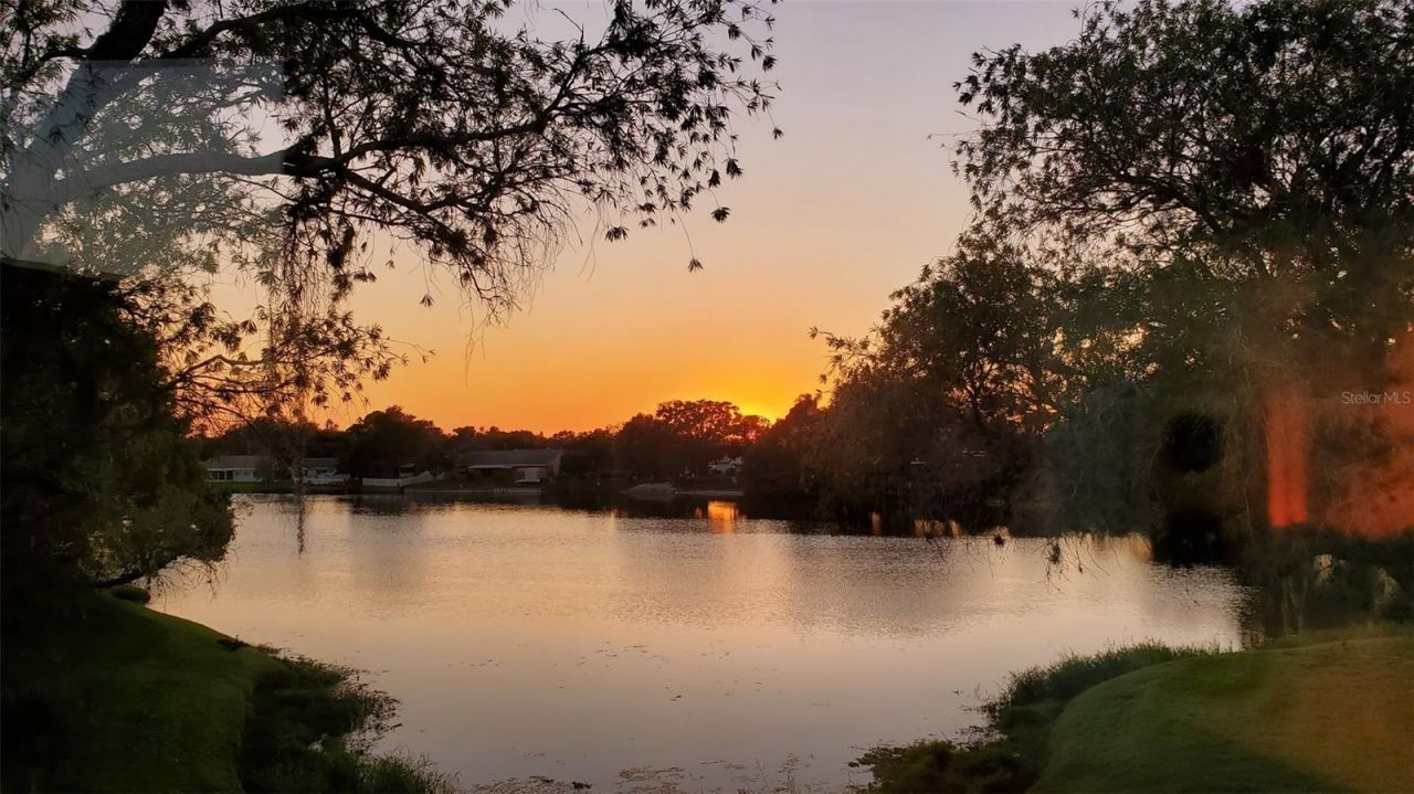 4015 Davit Drive, New Port Richey, FL 34652 Photo