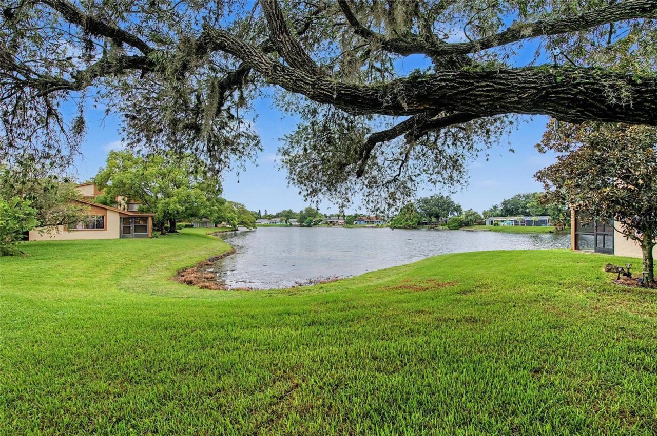 4015 Davit Drive, New Port Richey, FL 34652 Photo