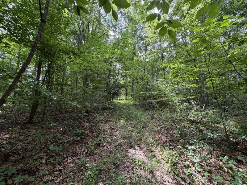 0 Gun Club Road , Athens, OH 45701 Photo 14