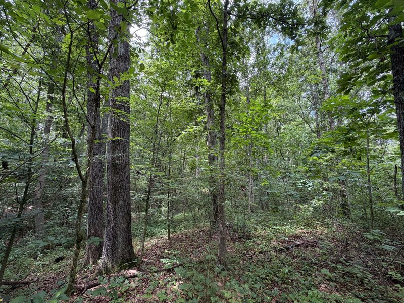 0 Gun Club Road , Athens, OH 45701 Photo 15