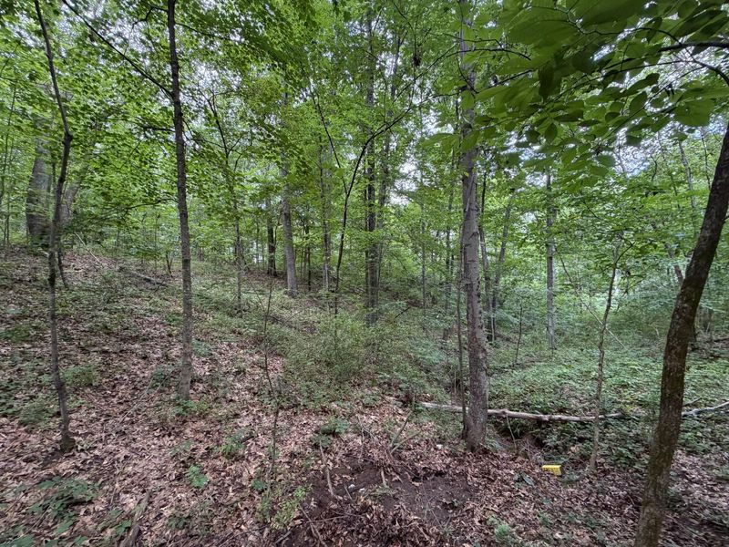 0 Gun Club Road , Athens, OH 45701 Photo 16