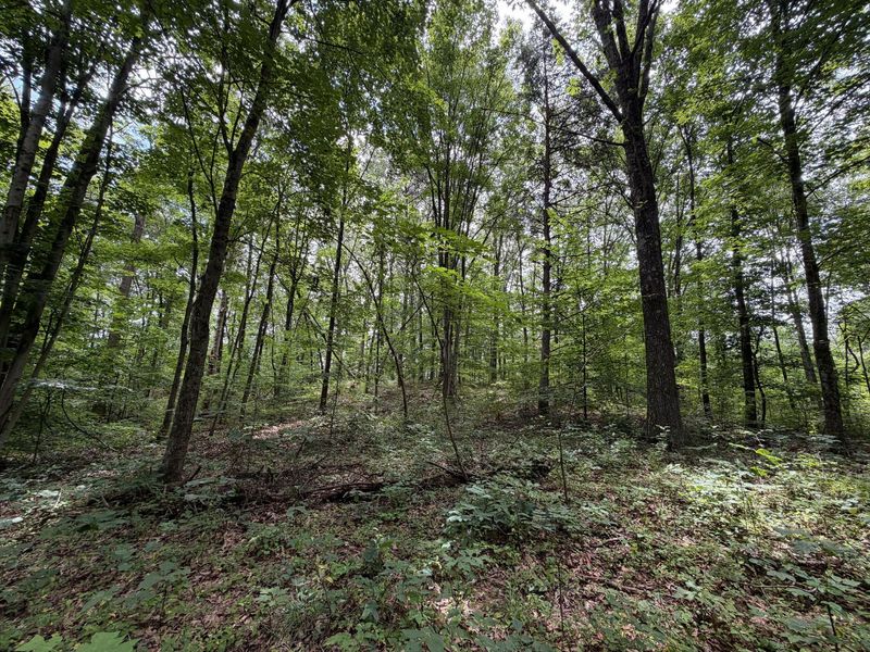 0 Gun Club Road , Athens, OH 45701 Photo 17