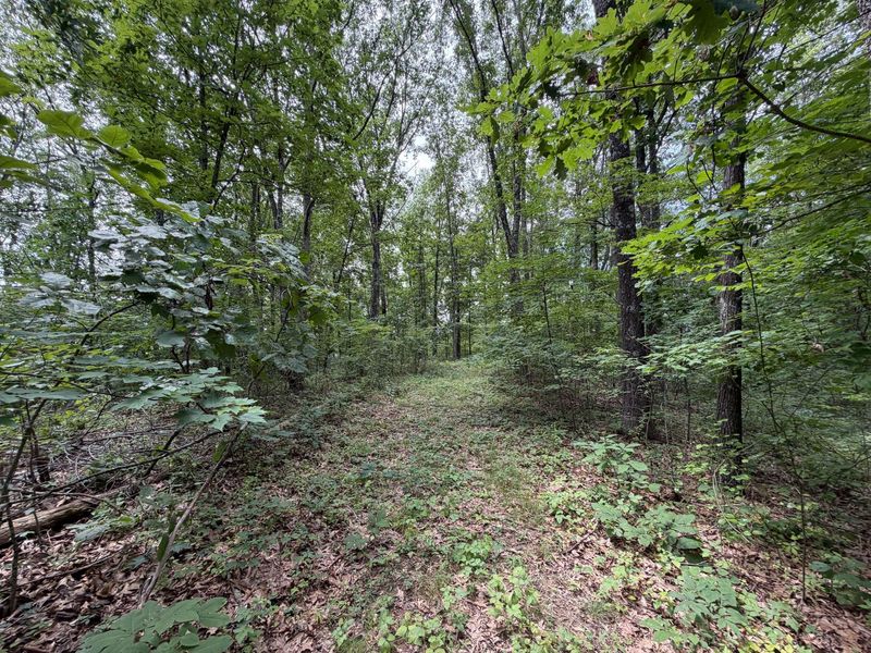 0 Gun Club Road , Athens, OH 45701 Photo 18