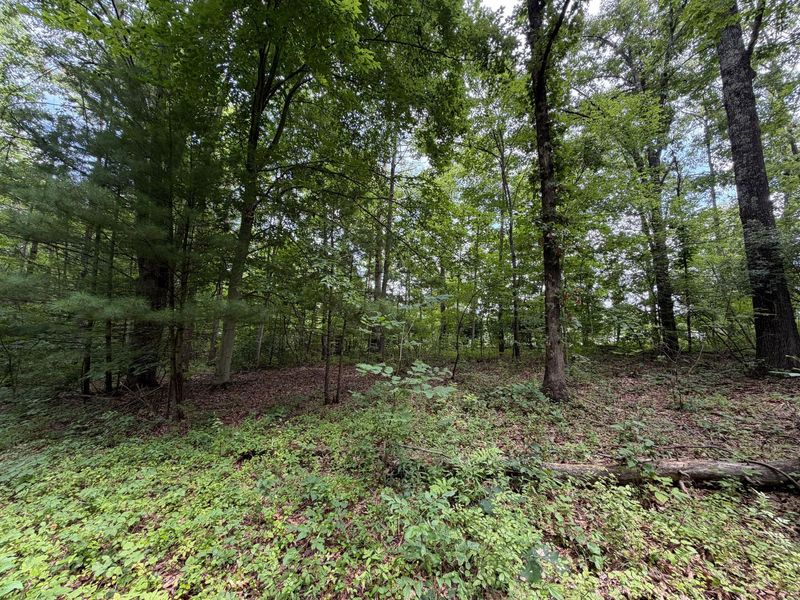 0 Gun Club Road , Athens, OH 45701 Photo 19