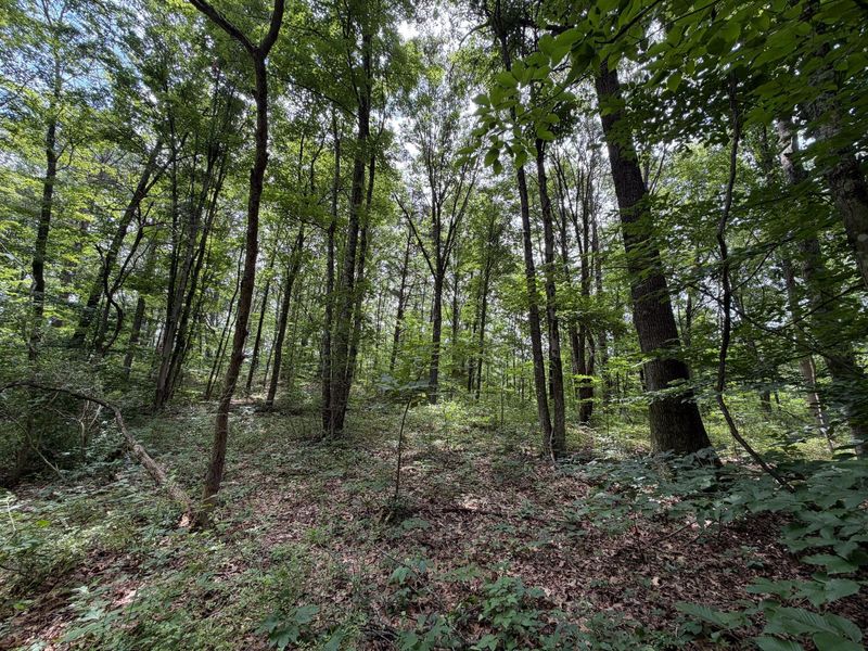 0 Gun Club Road , Athens, OH 45701 Photo 6