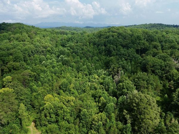 W Raccoon Valley Drive, Heiskell, TN 37754