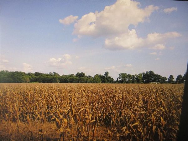 TBD HOT WELLS Road, Boyce, LA 71409
