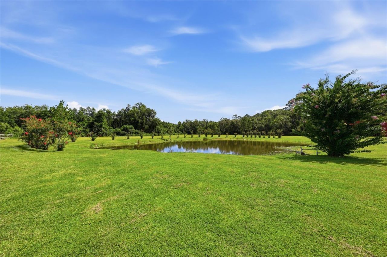 13525 Palm Drive, Astatula, FL 34705 Photo