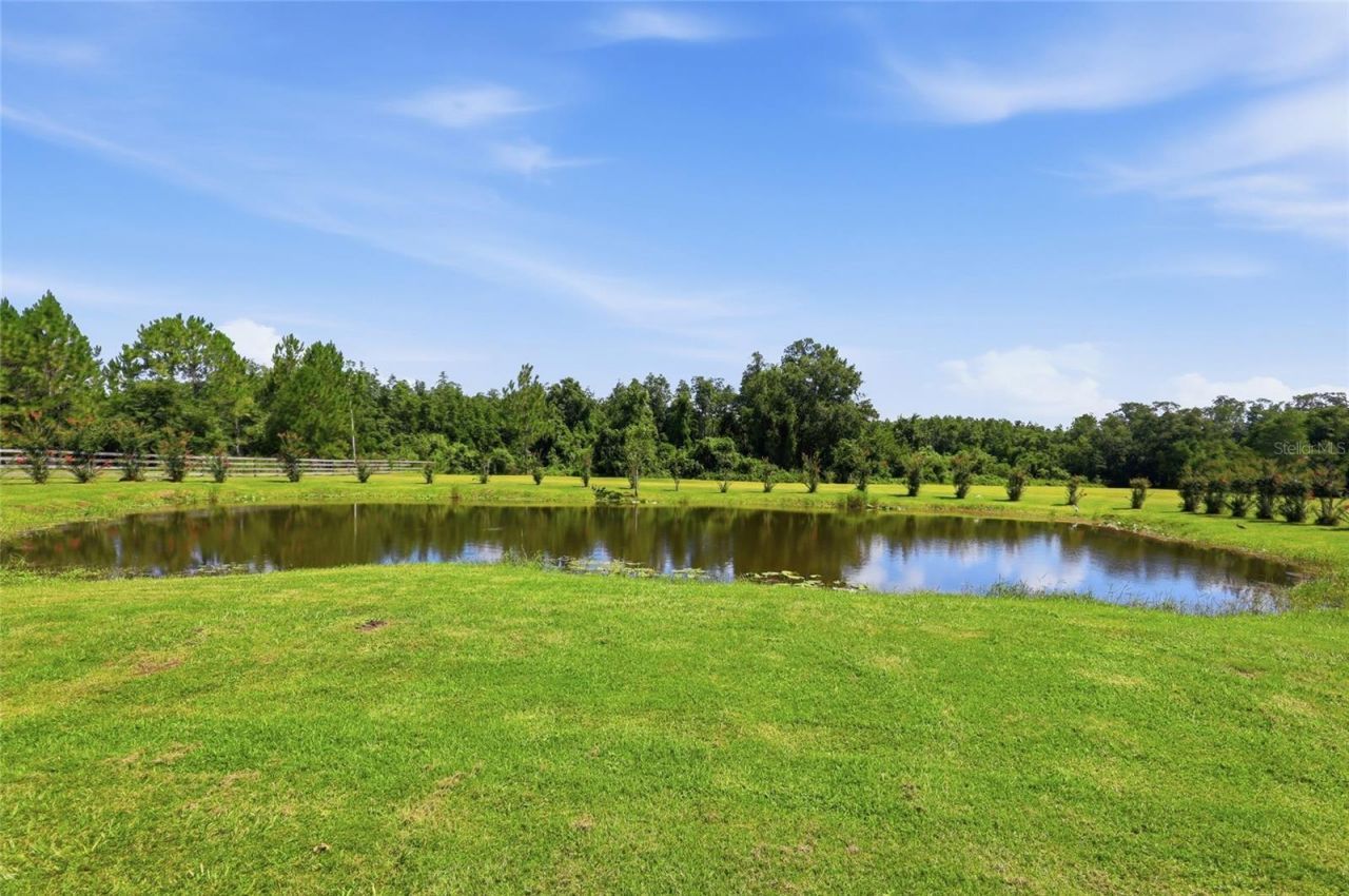 13525 Palm Drive, Astatula, FL 34705 Photo