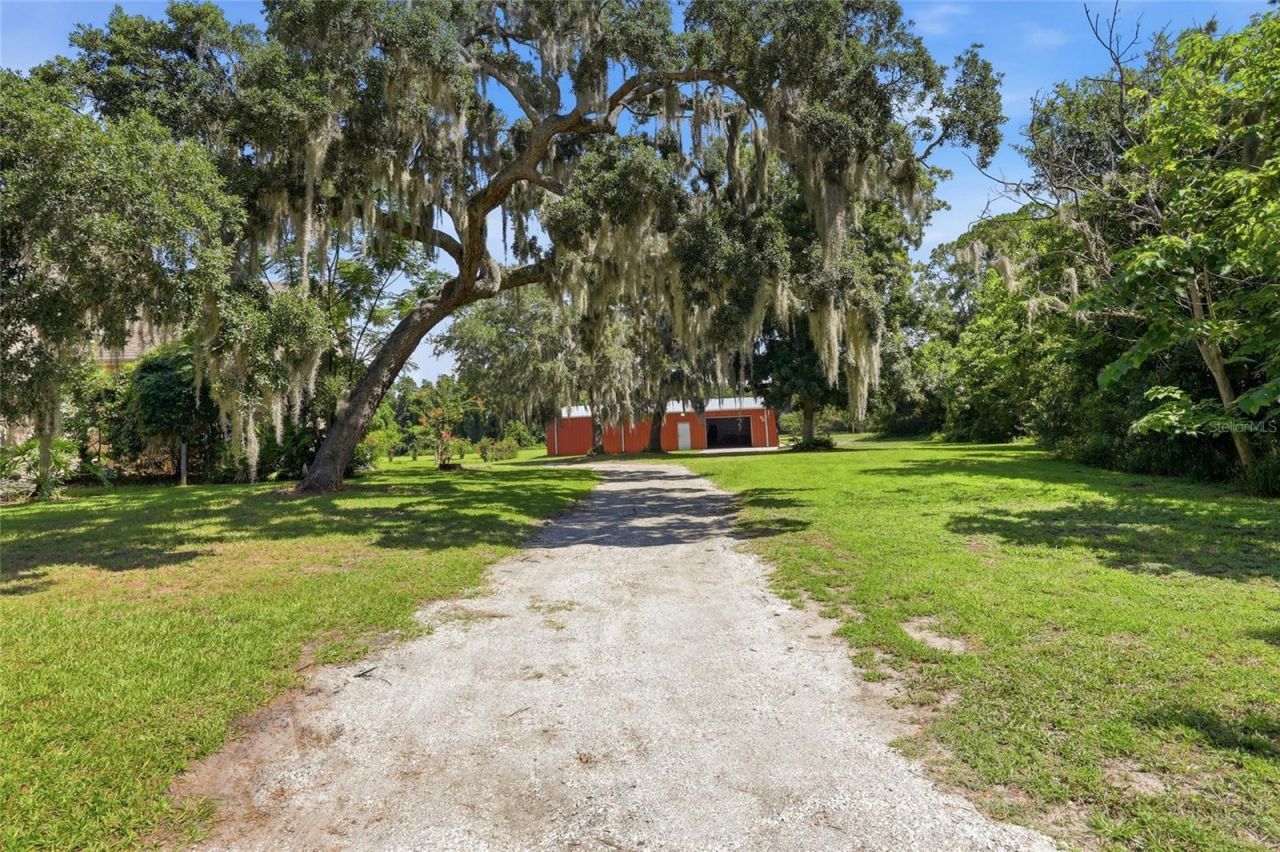 13525 Palm Drive, Astatula, FL 34705 Photo
