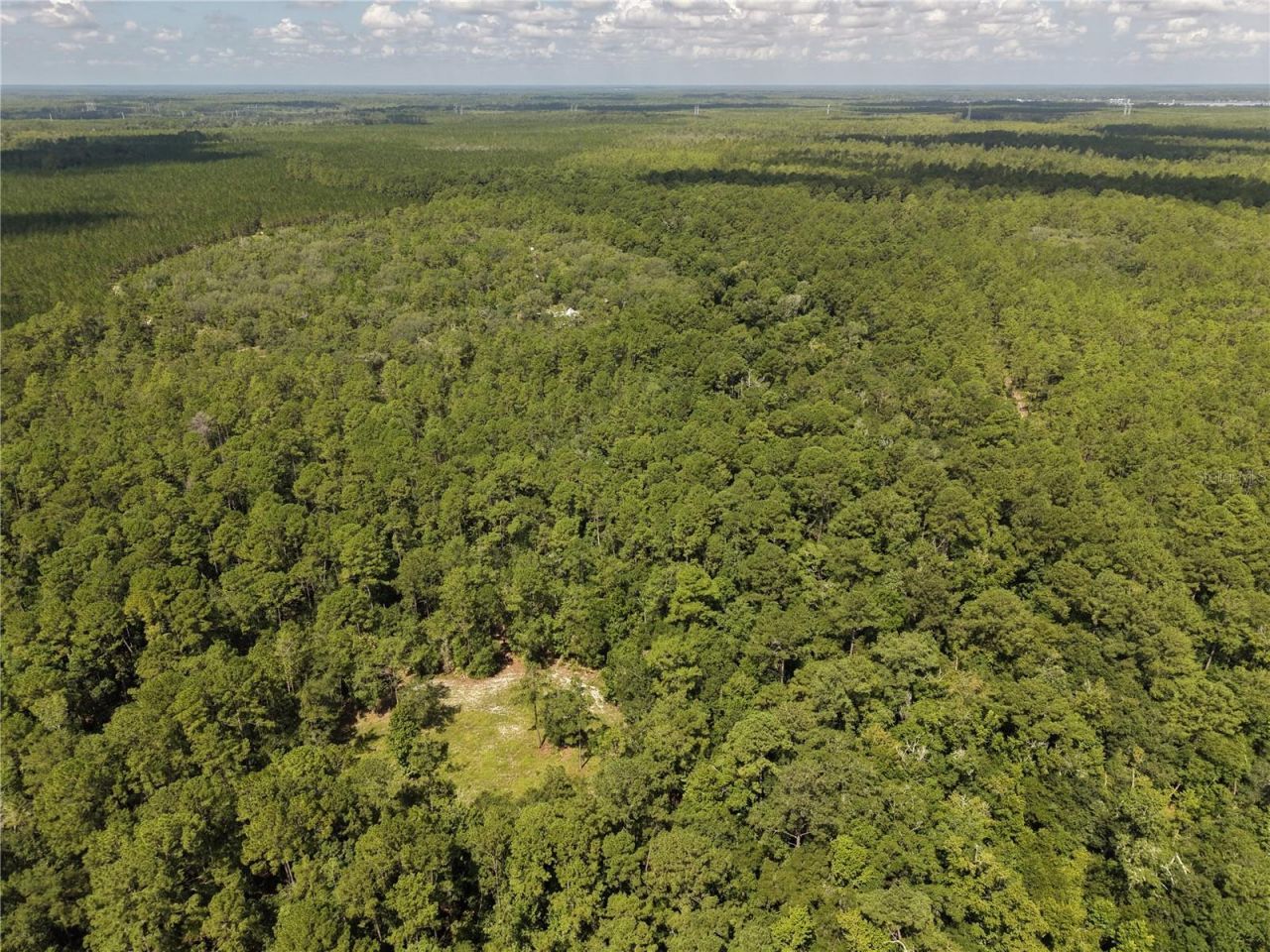 375 Buck Springs Road, Palatka, FL 32177 Photo