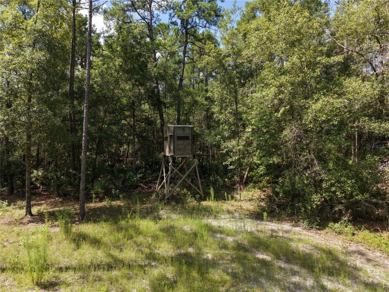 375 Buck Springs Road, Palatka, FL 32177 Photo