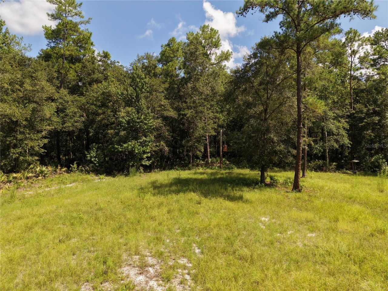 375 Buck Springs Road, Palatka, FL 32177 Photo