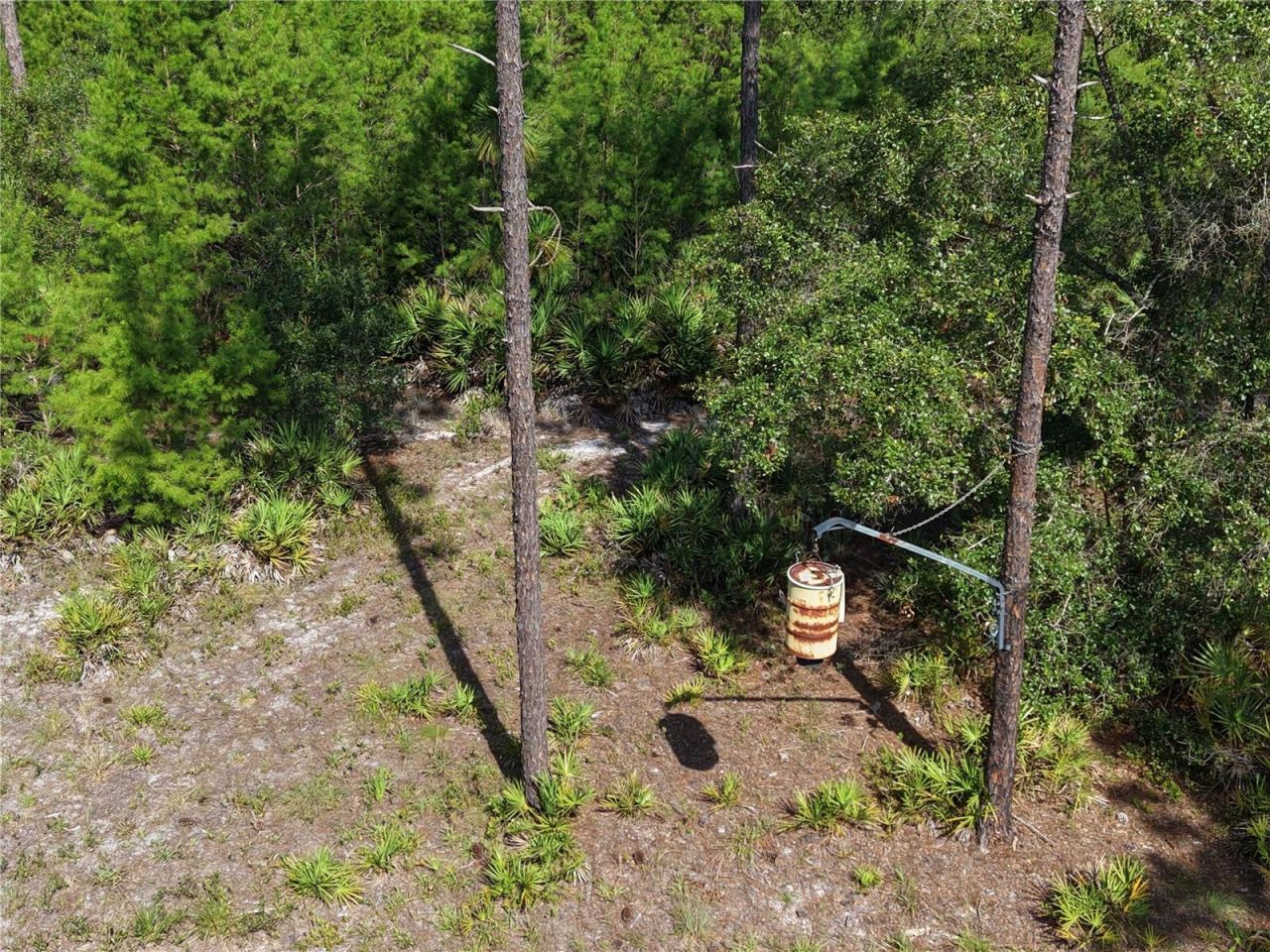 375 Buck Springs Road, Palatka, FL 32177 Photo