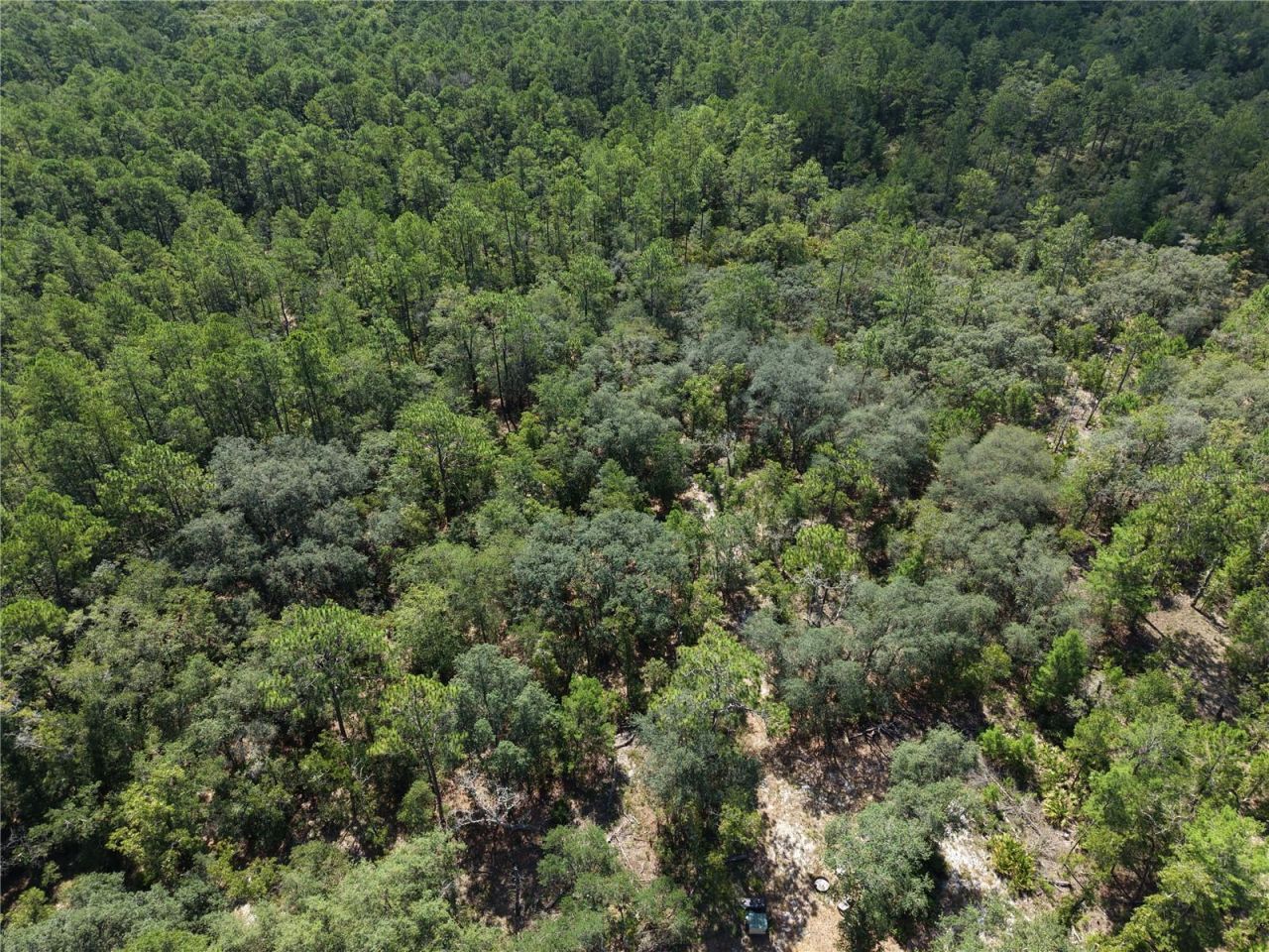 375 Buck Springs Road, Palatka, FL 32177 Photo