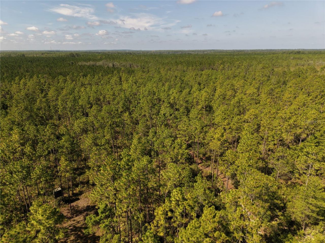 375 Buck Springs Road, Palatka, FL 32177 Photo