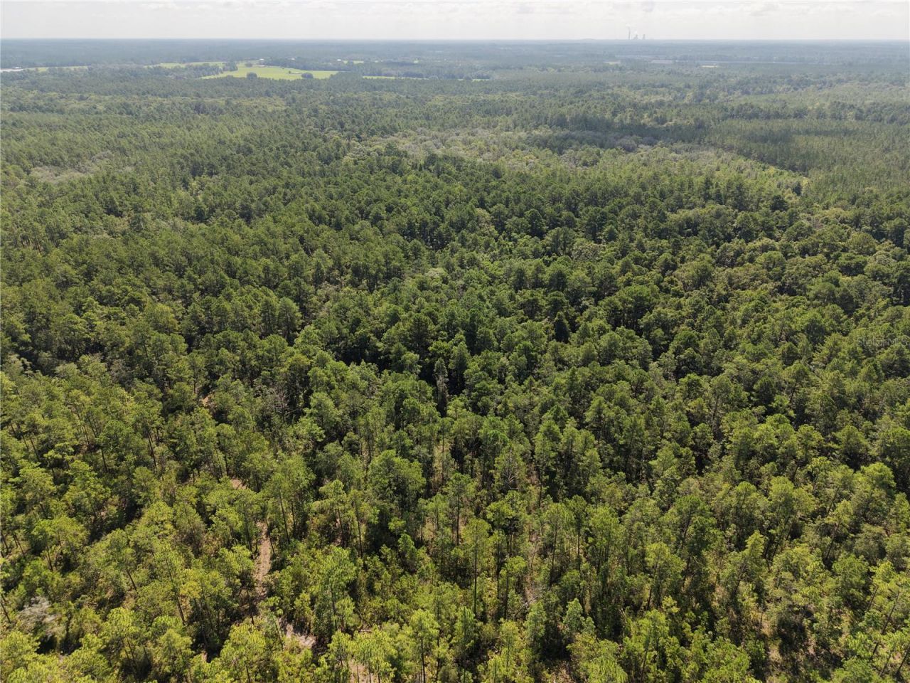 375 Buck Springs Road, Palatka, FL 32177 Photo