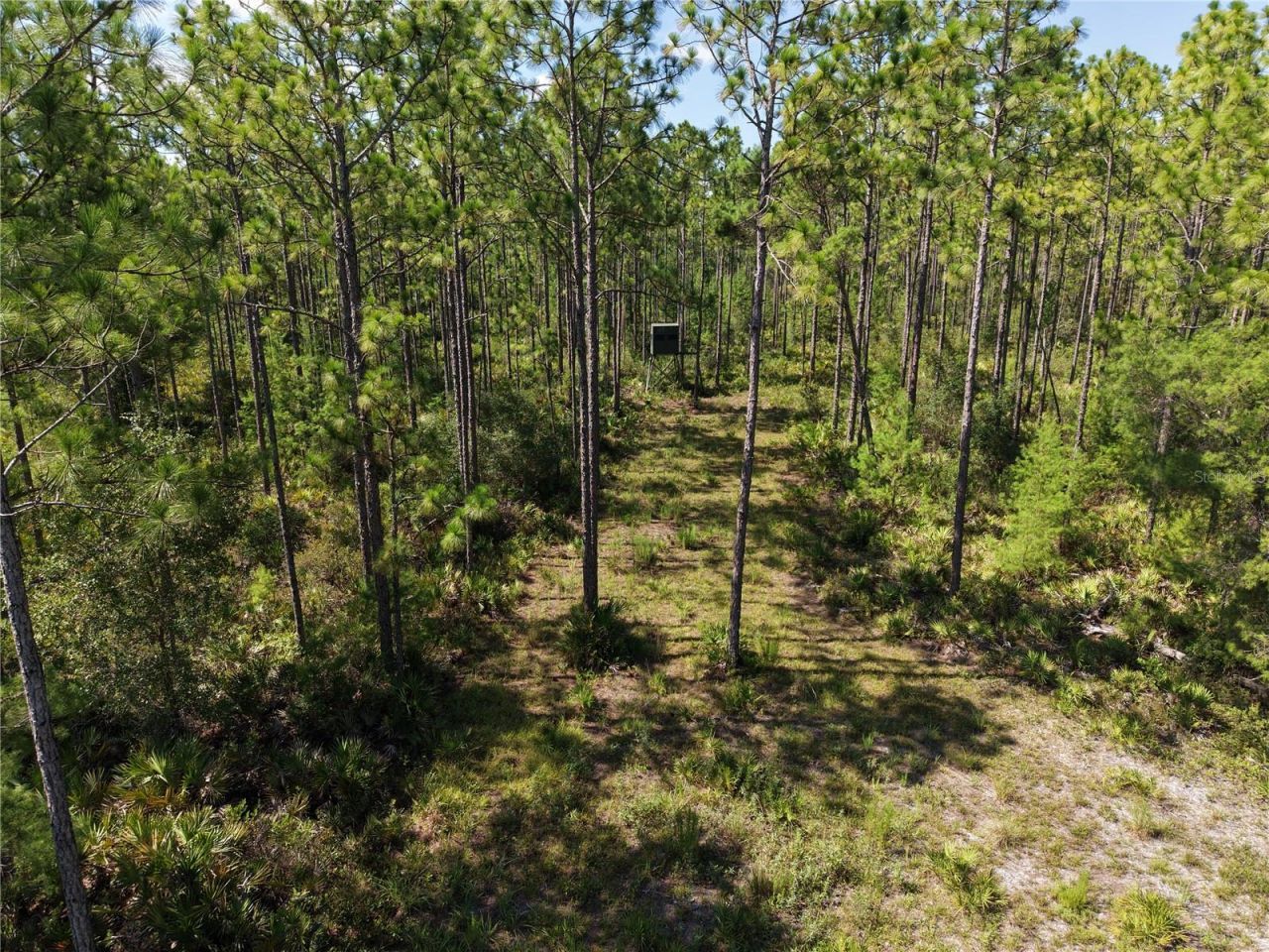 375 Buck Springs Road, Palatka, FL 32177 Photo