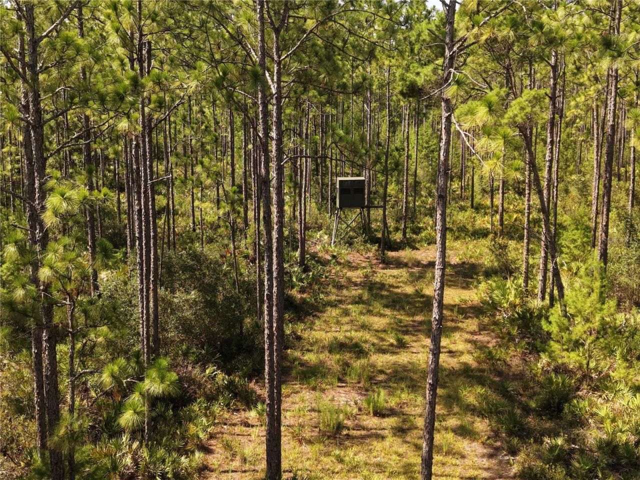 375 Buck Springs Road, Palatka, FL 32177 Photo