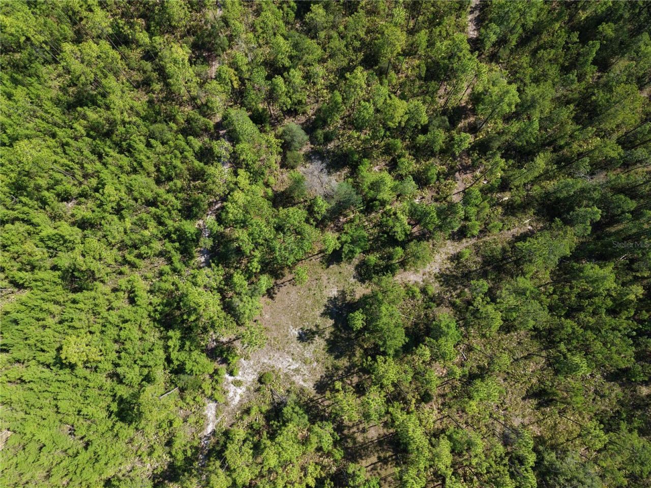 375 Buck Springs Road, Palatka, FL 32177 Photo